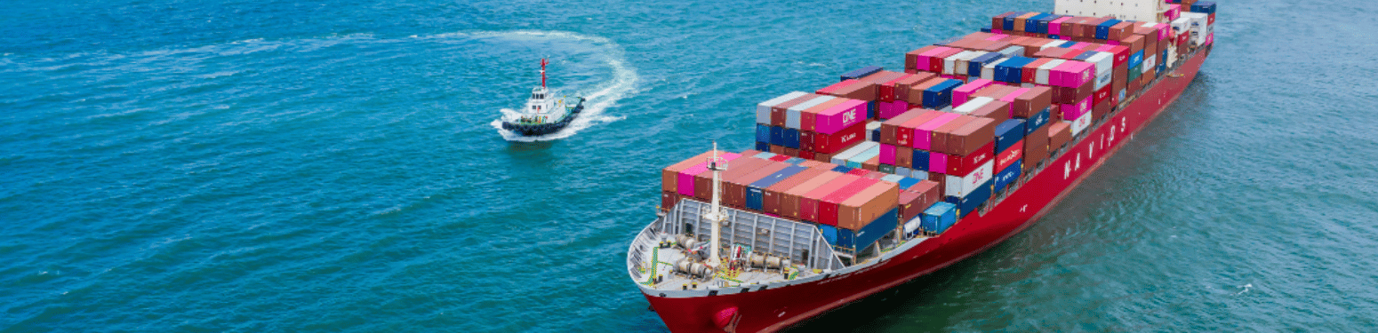 The Journey of Adeez International