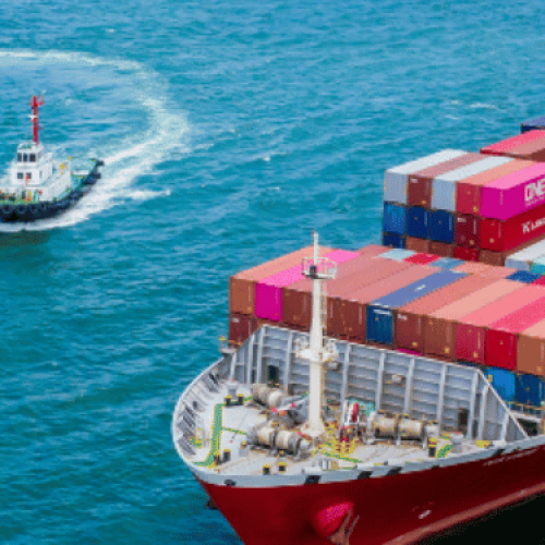 The Journey of Adeez International